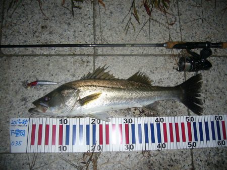 3HIT目にてようやく久々のGET(￣∀￣…